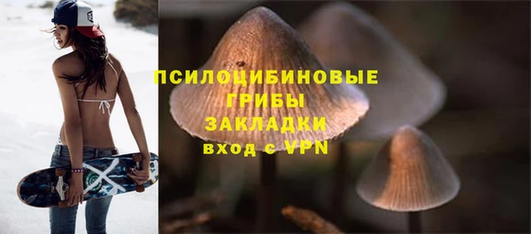 бошки Нея